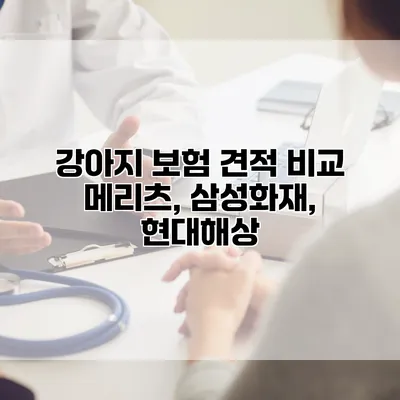 강아지 보험 견적 비교 메리츠, 삼성화재, 현대해상