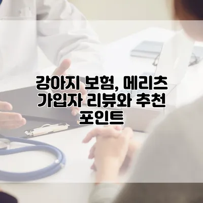 강아지 보험, 메리츠 가입자 리뷰와 추천 포인트