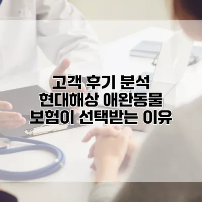 고객 후기 분석 현대해상 애완동물 보험이 선택받는 이유