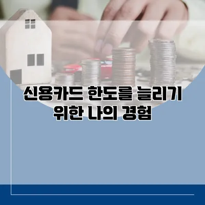 신용카드 한도를 늘리기 위한 나의 경험