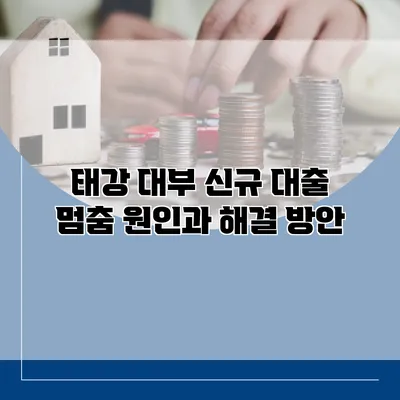 태강 대부 신규 대출 멈춤 원인과 해결 방안
