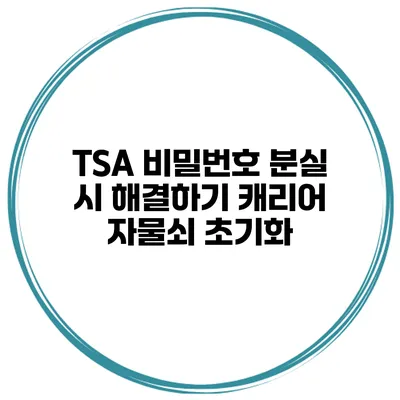 TSA 비밀번호 분실 시 해결하기 캐리어 자물쇠 초기화