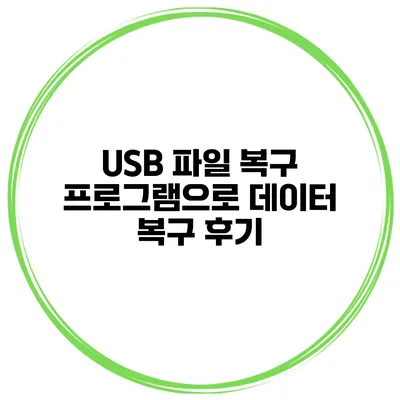 USB 파일 복구 프로그램으로 데이터 복구 후기