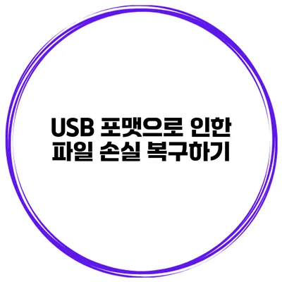USB 포맷으로 인한 파일 손실 복구하기