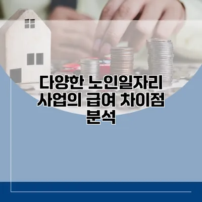 다양한 노인일자리 사업의 급여 차이점 분석