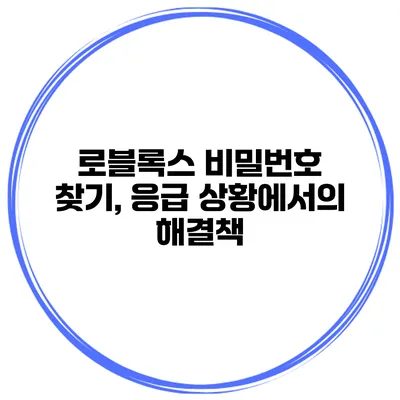 로블록스 비밀번호 찾기, 응급 상황에서의 해결책