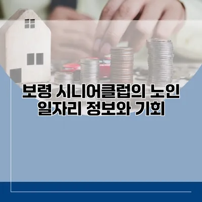 보령 시니어클럽의 노인 일자리 정보와 기회