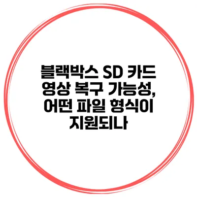 블랙박스 SD 카드 영상 복구 가능성, 어떤 파일 형식이 지원되나?