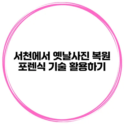 서천에서 옛날사진 복원 포렌식 기술 활용하기