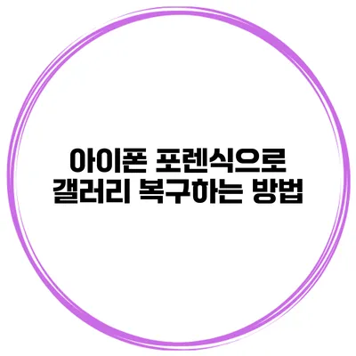 아이폰 포렌식으로 갤러리 복구하는 방법