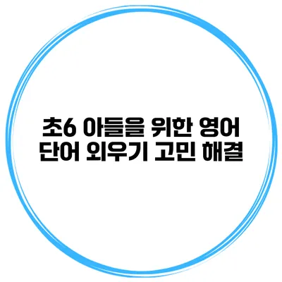 초6 아들을 위한 영어 단어 외우기 고민 해결